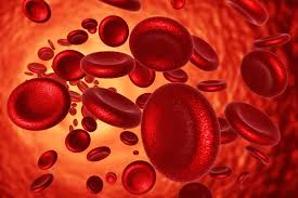 Вчені назвали шість груп людей, які схильні до утворення тромбів